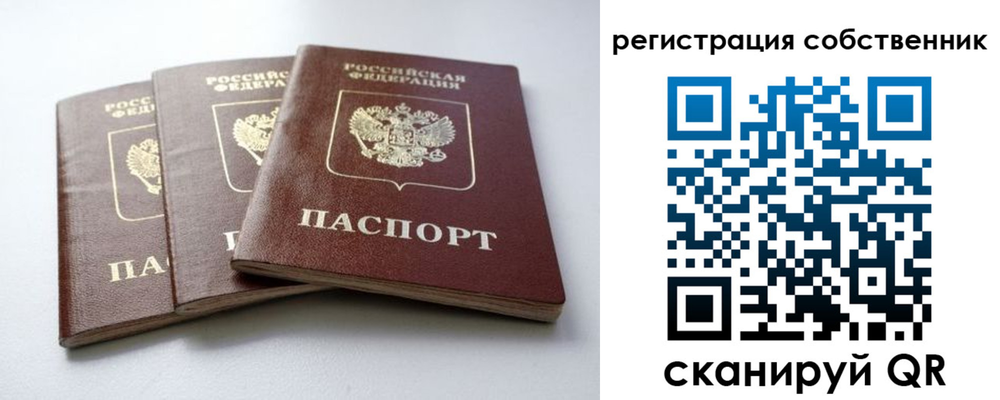 прописка для школы в Кировской области